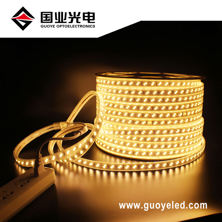 110v 220v dipimpin lampu strip