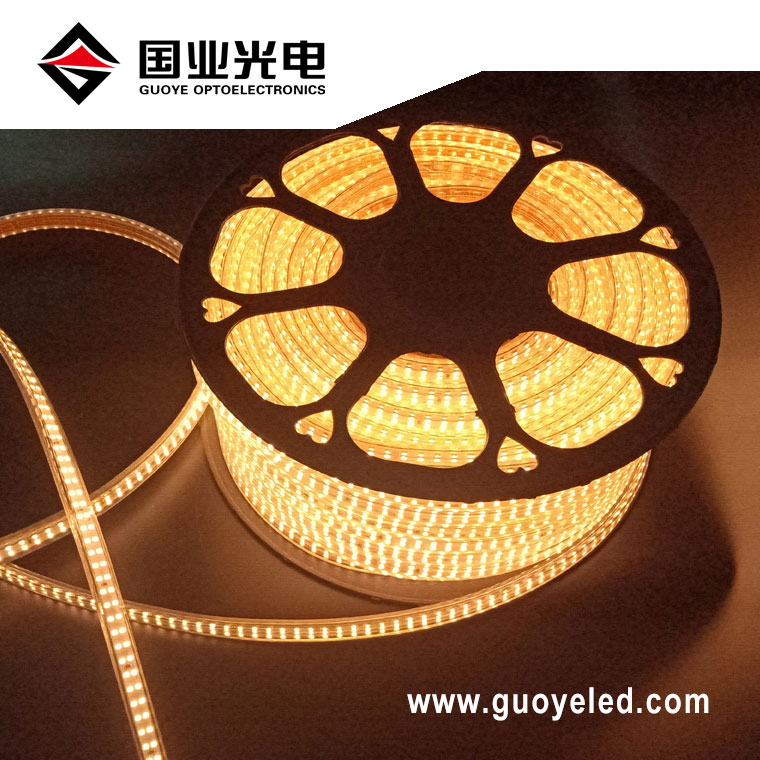 Efisiensi dhuwur 220v led strip