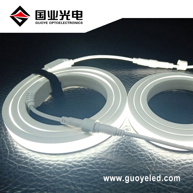 Neon led strip 220v